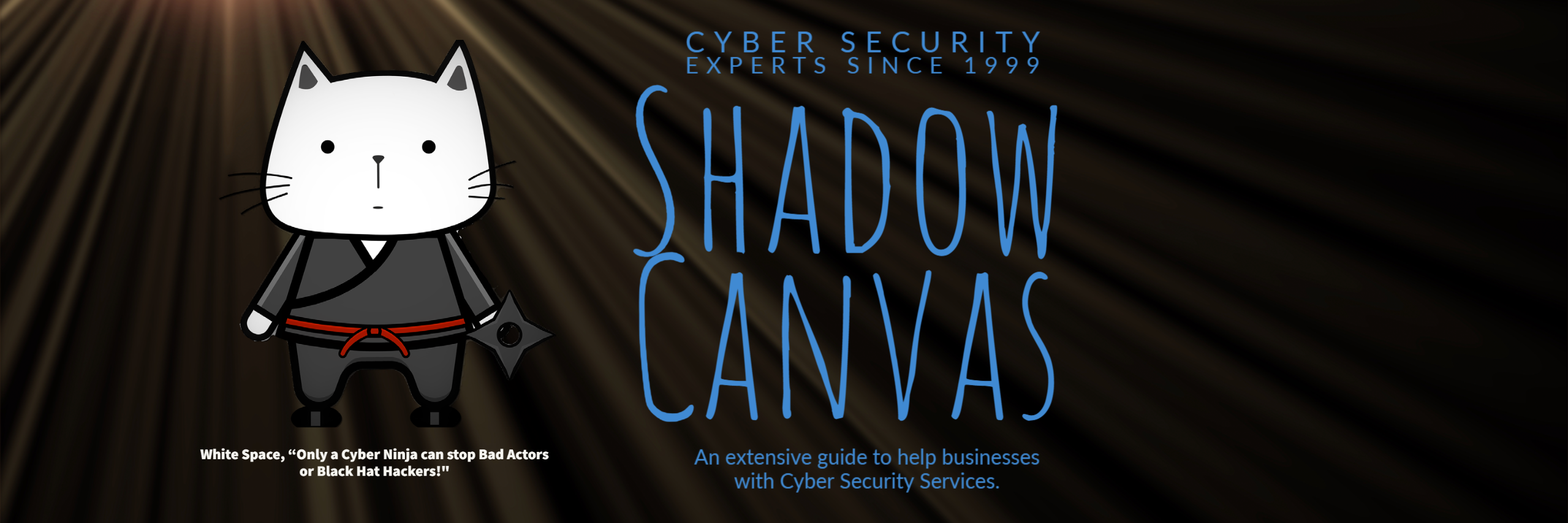 Computer Repair / Cyber Security