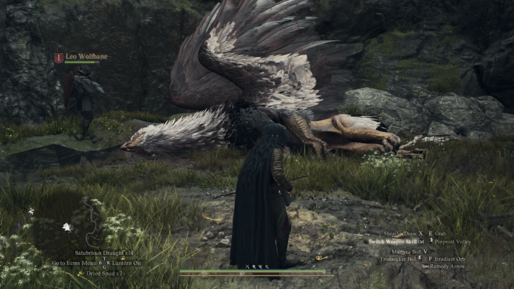 Dragon Dogma 2 - Griffin's nest portcrystal location: