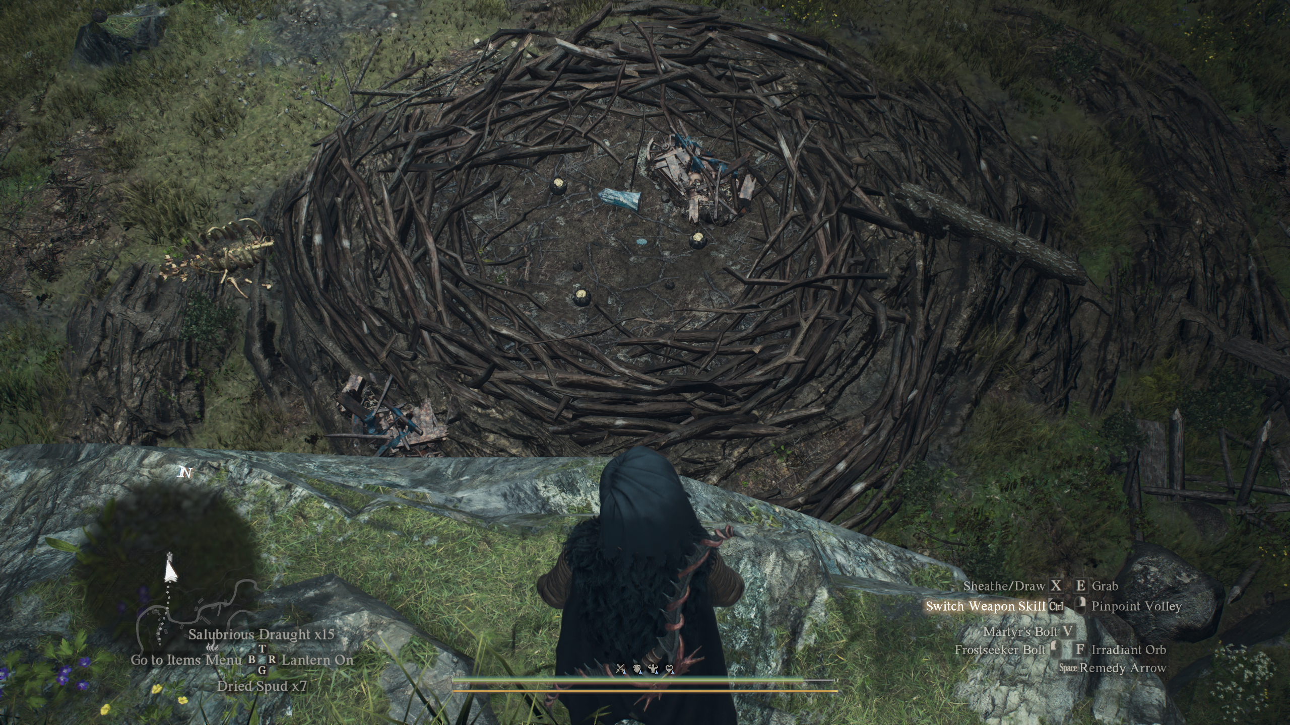 Dragon Dogma 2 - Griffin's nest portcrystal location: